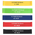 Resistance Body Bands