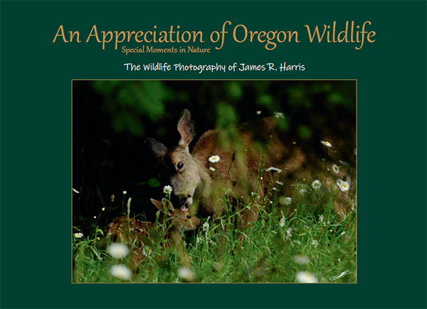 An Appreciation of Oregon Wildlife
