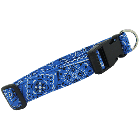 Bright-Blue-Bandana-Dog-Collar