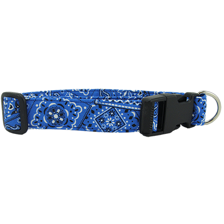 Bright-Blue-Bandana-Dog-Collar