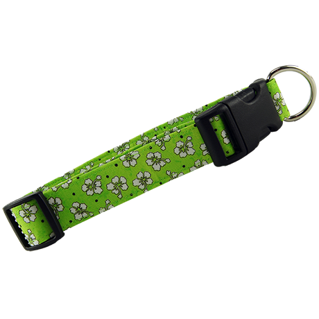 Green Hawaiian Flowers Dog Collar