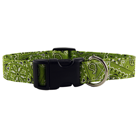 Lime Green Bandana Dog Collar Front