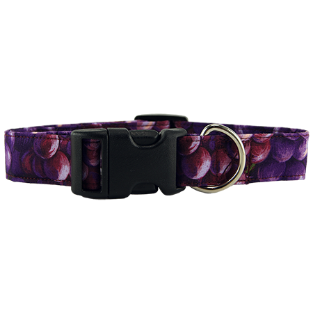 Chili Peppers Dog Collar