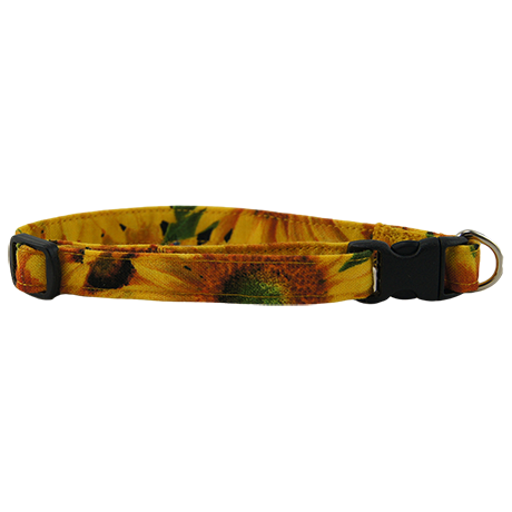 Sunny-Sunflowers-Dog-Collar