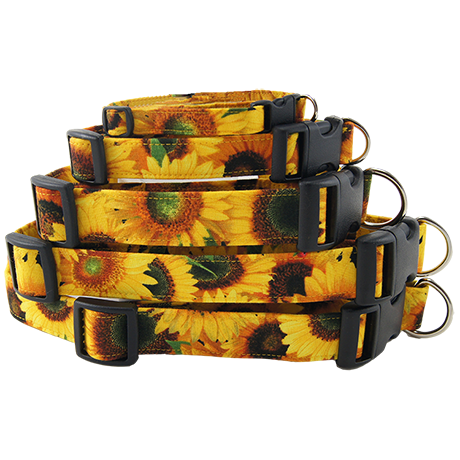 Sunny-Sunflowers-Dog-Collar