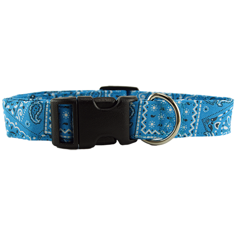 Turquoise Bandana Dog Collar Medium