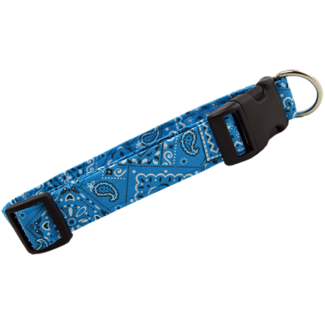 Turquoise Bandana Dog Collar