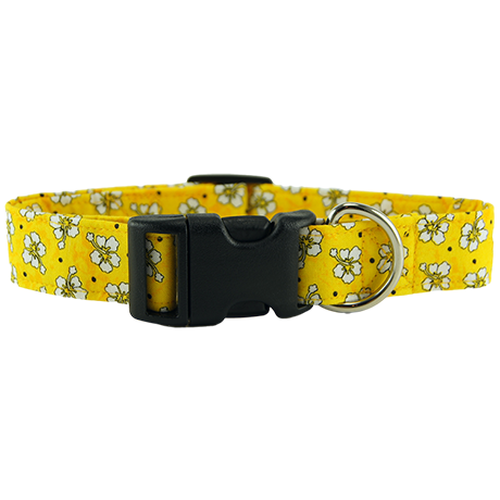 Yellow Hawaiian Flowers Dog Collar Front