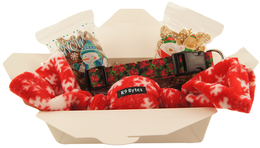 Christmas Gift Box