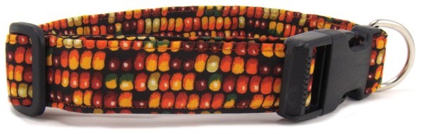 Indian Corn Dog Collar