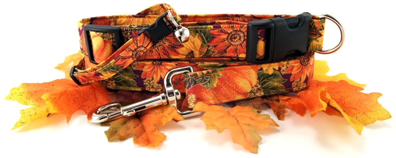 Pumpkins & Sunflowers Dog Collars - Dog Leashes - Cat Collars