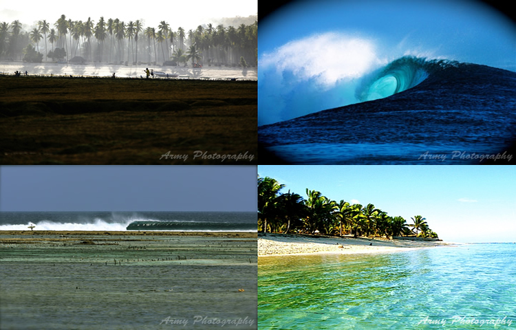 Surf Lessons Nemberala Rote Indonesia Photos