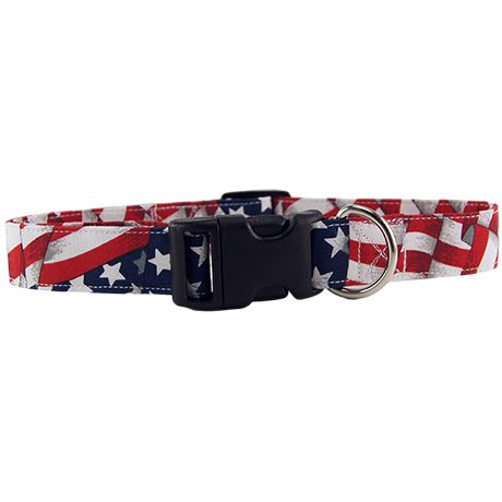American Flag Dog Collar  Front
