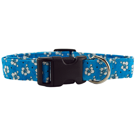 Blue Hawaiian Flowers Dog Collar Front