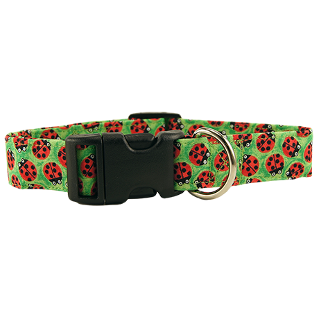 Lady-Bugs-Dog-Collar