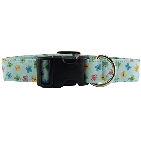 Pastel Blue Butterflies Dog Collar Front