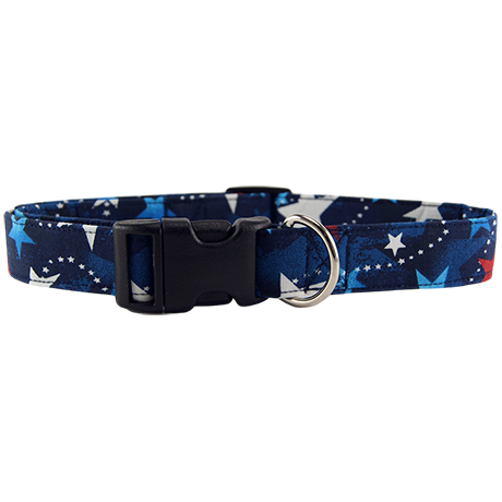 Red-White-Blue-Shooting-Stars-Dog-Collar
