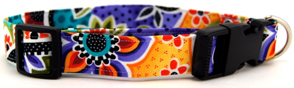 Whimsical Dreams Dog Colla