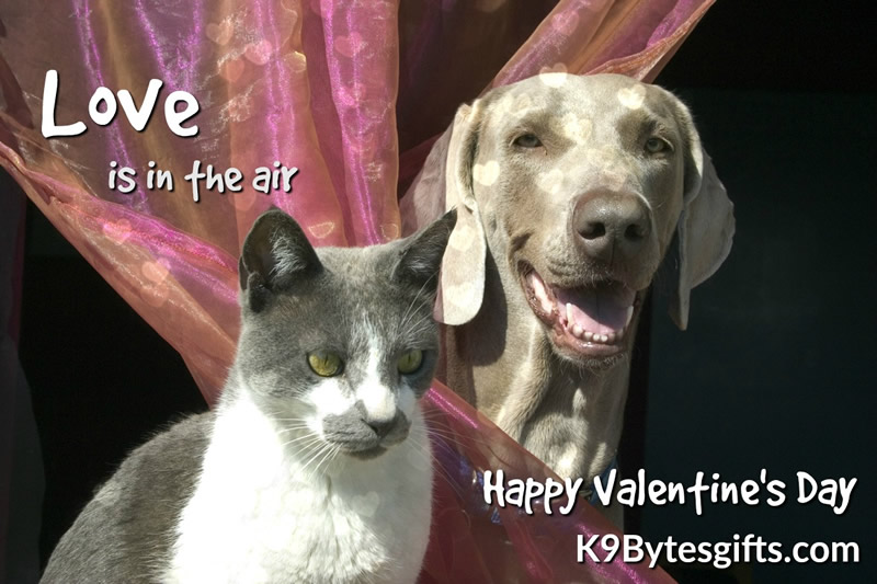 Happy Valentine's Day